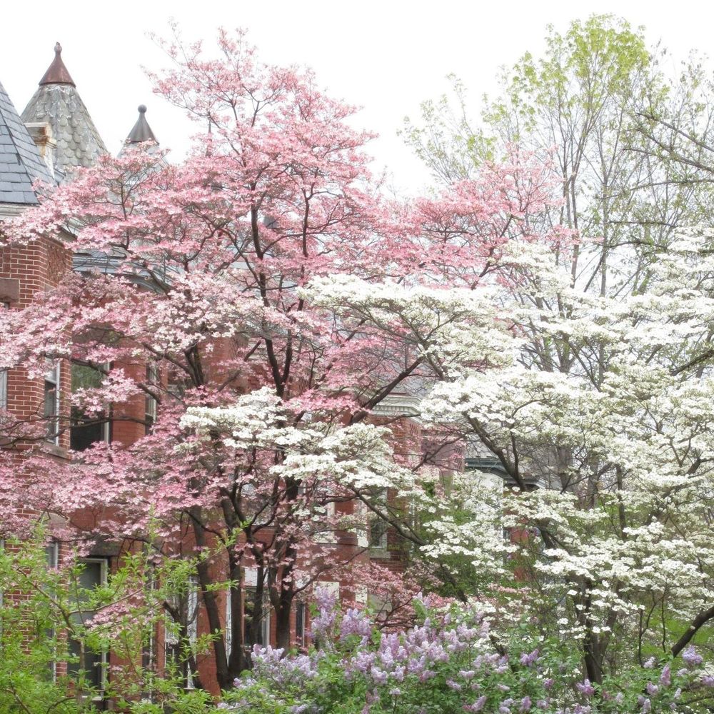 Meet your Posher, Sharon